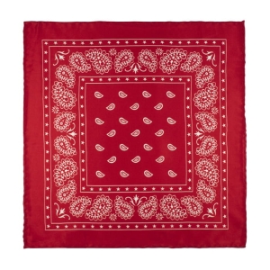 EM Men's Accessories poszetka jedwabna czerwona paisley.jpg