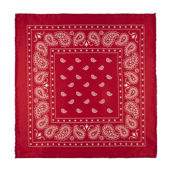 EM Men's Accessories poszetka jedwabna czerwona paisley.jpg