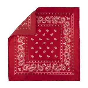 EM Men's Accessories poszetka jedwabna czerwona paisley.jpg
