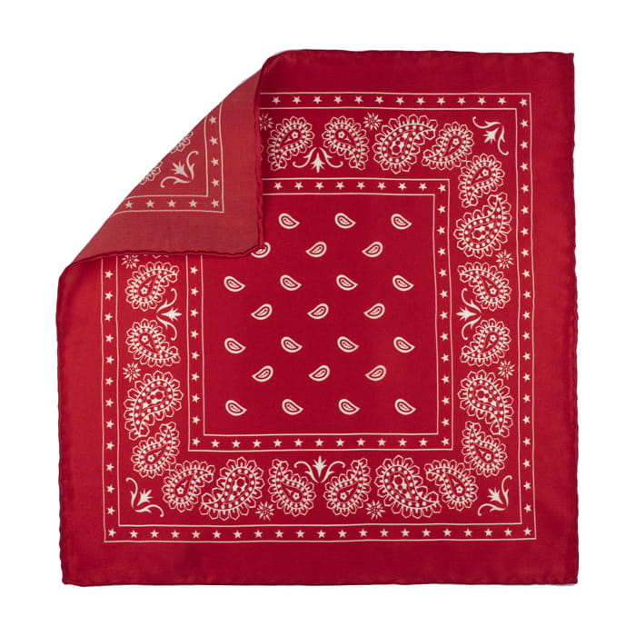 EM Men's Accessories poszetka jedwabna czerwona paisley.jpg