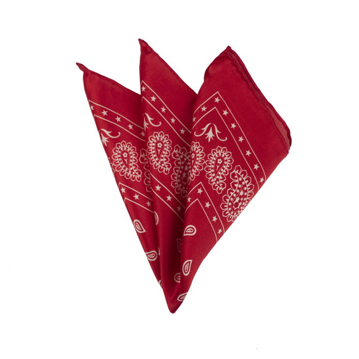 EM Men's Accessories poszetka jedwabna czerwona paisley.jpg
