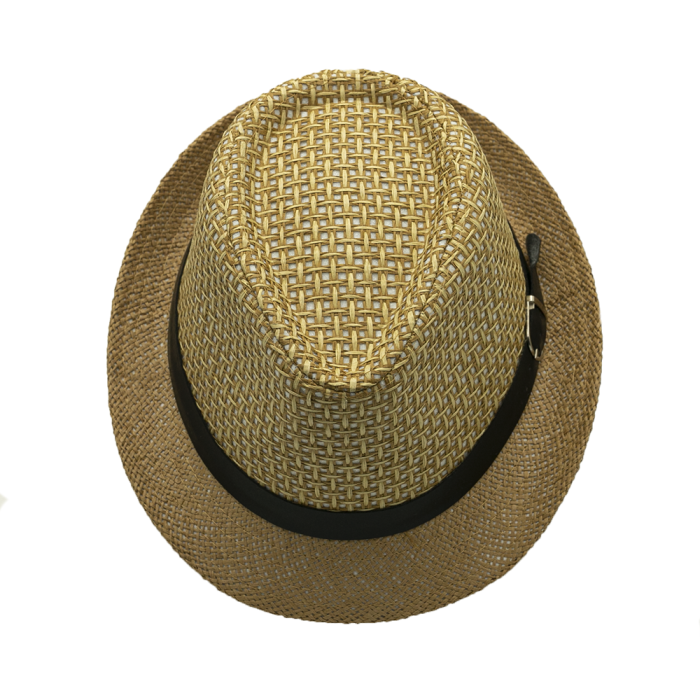 1214540500051 pion.png