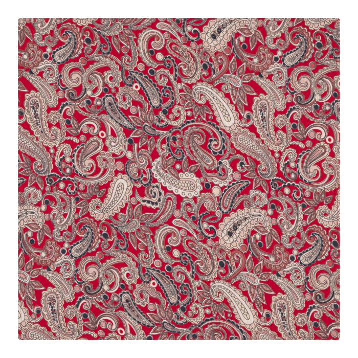 poszetka bawełniania em mens accessories paisley
