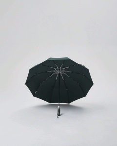 zielony.gif