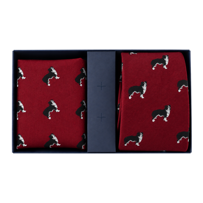 Zestaw Prezentowy - Krawat jedwabny bordowy + poszetka w pieski - psy - border collie - PREMIUM EM 11