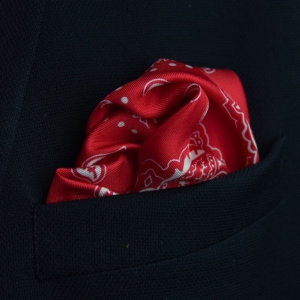 EM Men's Accessories poszetka czerwona jedwabna wzory.jpg