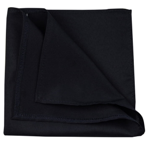 EM Men's Accessories czarna gładka poszetka.jpg