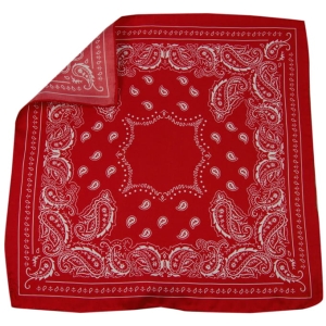 EM Men's Accessories poszetka czerwona jedwabna wzory.jpg