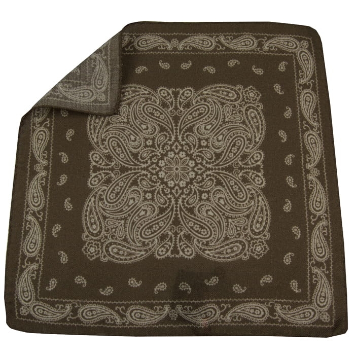 EM MEn's Accessories poszetka wełniana brązowa paisley.jpg