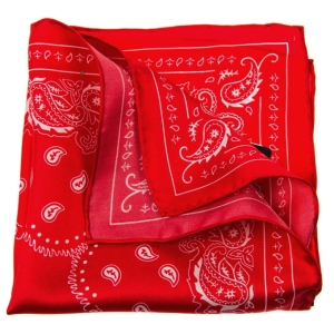 EM Men's Accessories poszetka czerwona jedwabna wzory.jpg